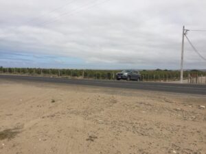 whatsapp image 2022 02 17 at 10.58.51 (2)