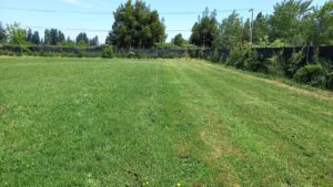 whatsapp image 2024 07 09 at 11.42.34 (2)