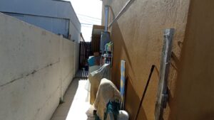 whatsapp image 2024 11 22 at 09.23.31