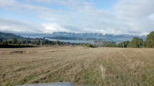 whatsapp image 2025 06 06 at 14.13.58 (1)