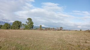 whatsapp image 2025 06 06 at 14.13.58