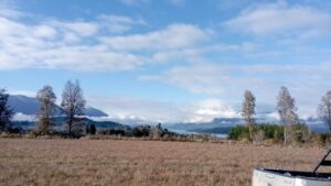 whatsapp image 2025 06 06 at 14.13.59 (2)