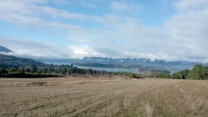 whatsapp image 2025 06 06 at 14.13.59