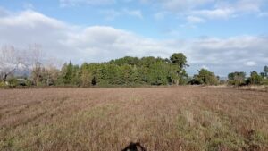 whatsapp image 2025 06 06 at 14.14.00 (1)