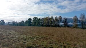 whatsapp image 2025 06 06 at 14.14.00