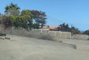 whatsapp image 2025 10 08 at 17.38.07